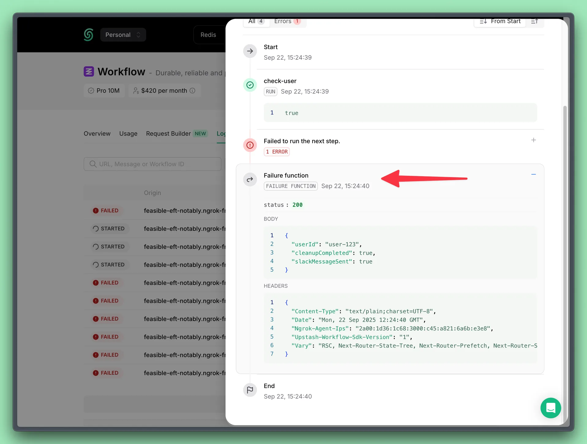 Workflow failure function execution